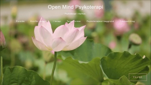 A site that captures the peace of animated lotus flowers on the beautiful front page. Made from the ground up, then search engine optimized.